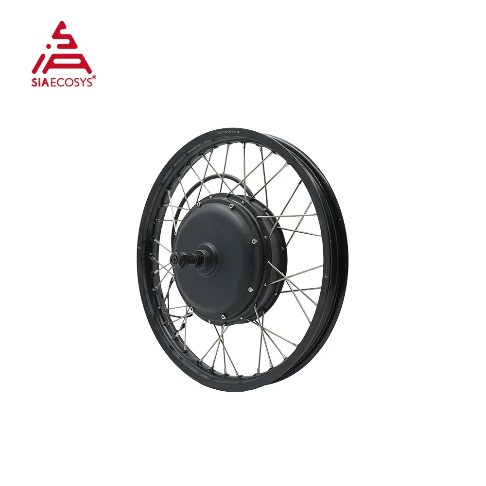 Clearance Sale! QSMOTOR QS205 1500W 40H V3 BLDC Spoke Hub Motor with 18x1.6 inch Rim