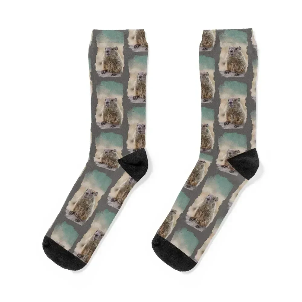 

Groundhog with grunge effect - Grunge Groundhog for Groundhog Day Socks fashionable short Lots aesthetic Women Socks Men's