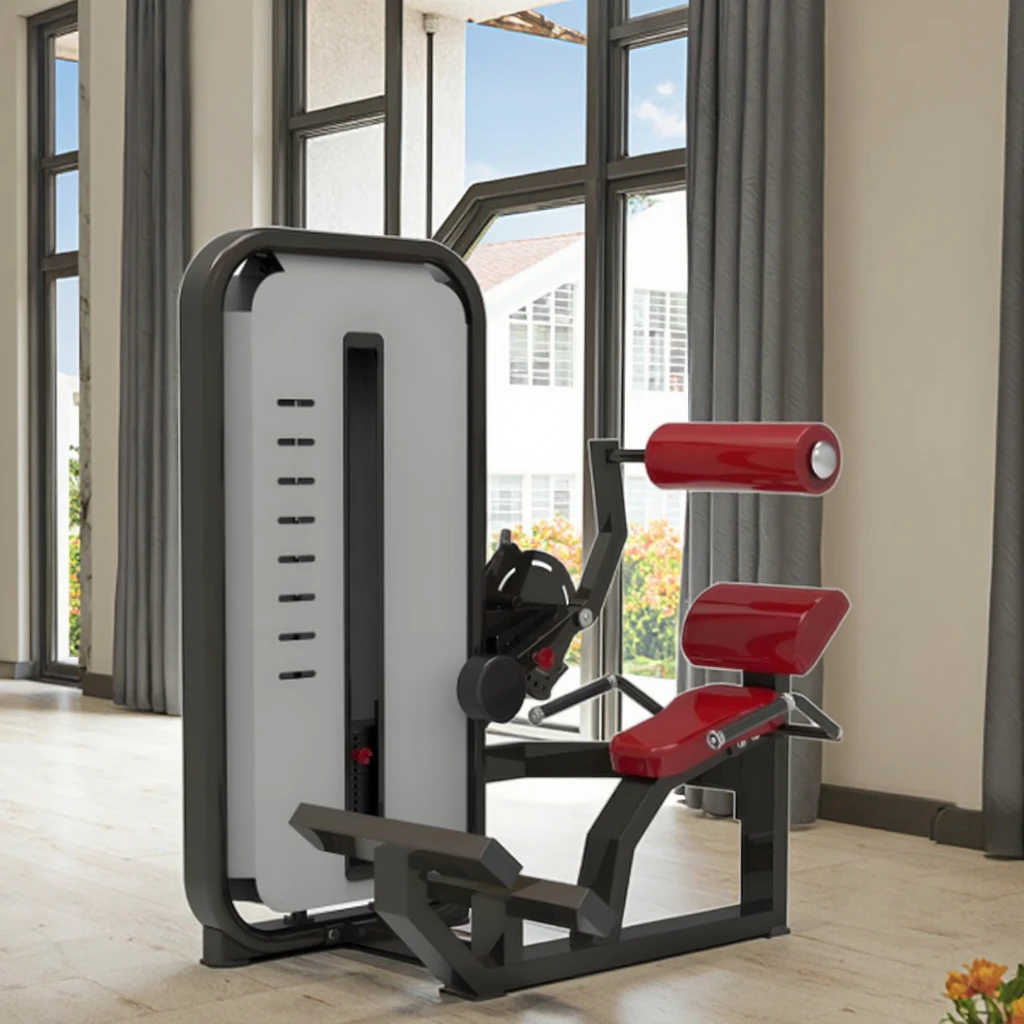 

Commercial Gym Steel Fitness Machine Adjustable Dip for Leg Arm Training Body Building Shoulder Exercise Pin Load Selection