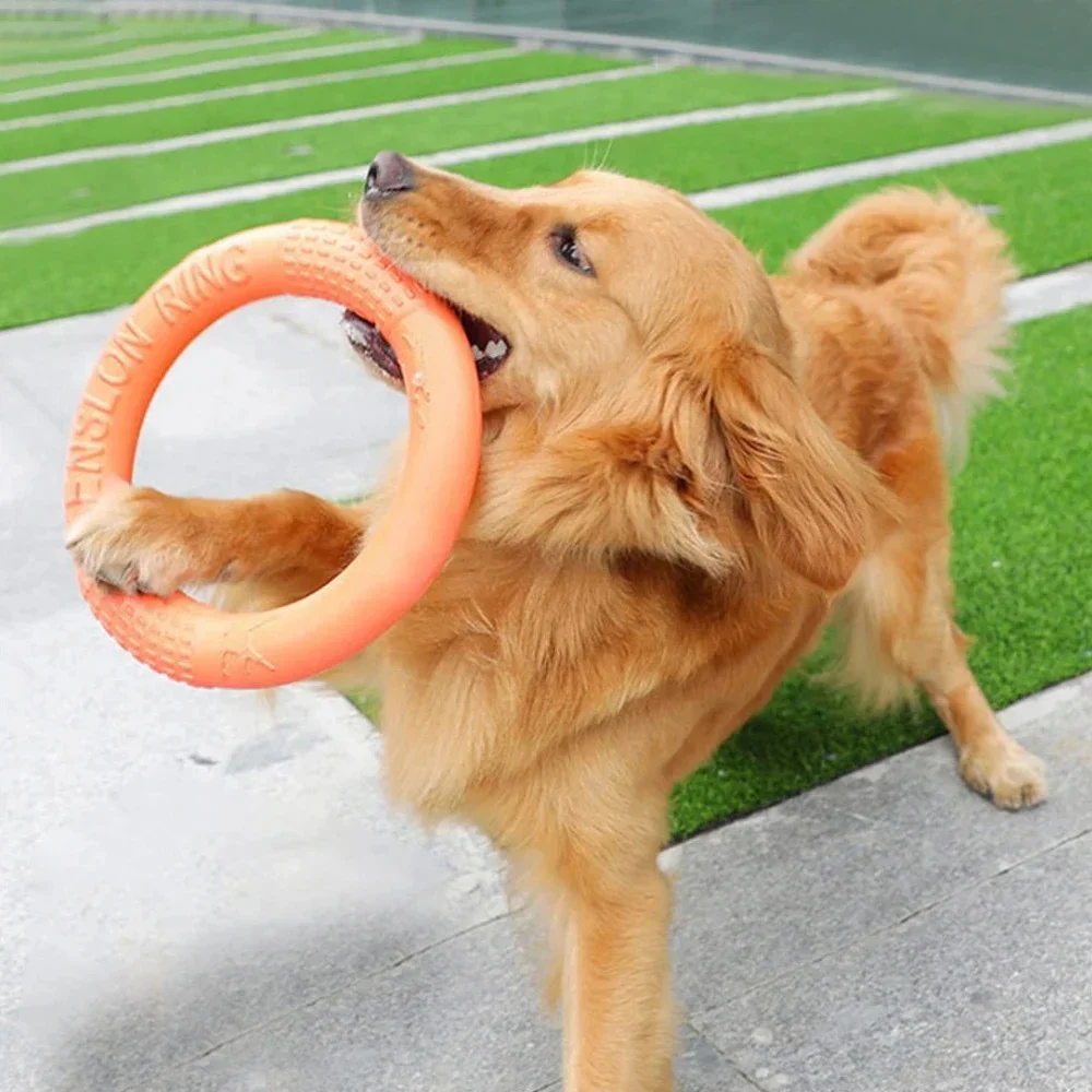 Dog Ring Toys Indestructible Chewing Flying Floating Training Tools Fetch for Small Medium Large Dogs Throwing Catching Flying