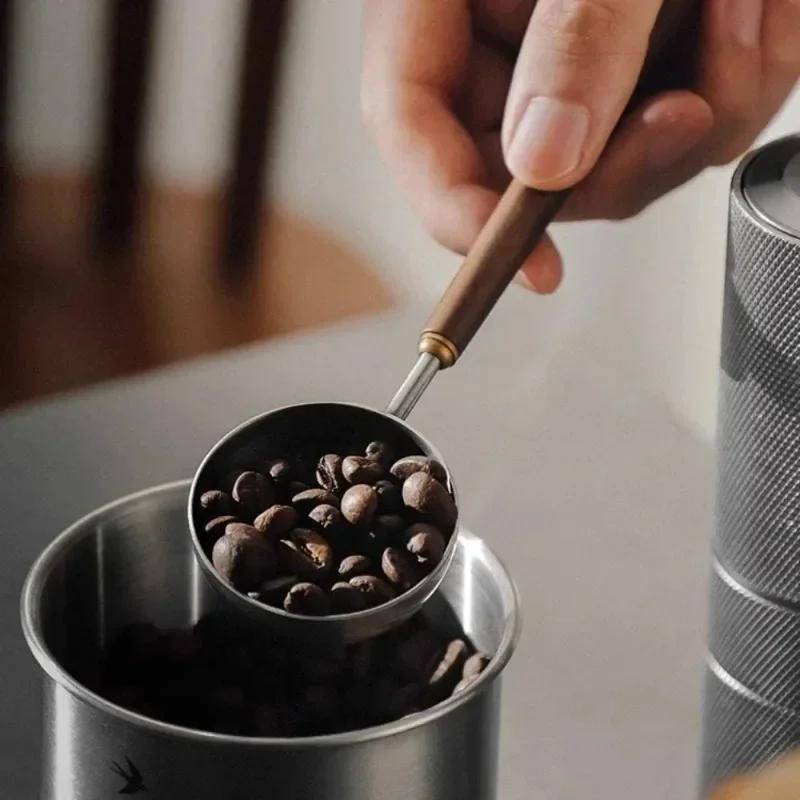 1PC 304 Stainless Steel Walnut Long Handle Coffee Powder Powder Measuring Spoon Kitchen Baking Tools Measuring Spoon Cucharas