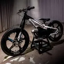 

НОВЫЙ ПРОДАЖ ДЕТСКИЙ ВЕЛОСИПЕД STACYC 18E DRIVE Special Edition