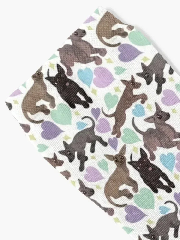 Xoloitzcuintle ソックス ゴルフマン デザイナー クリスマス ギフト 靴下 男性用 女性用