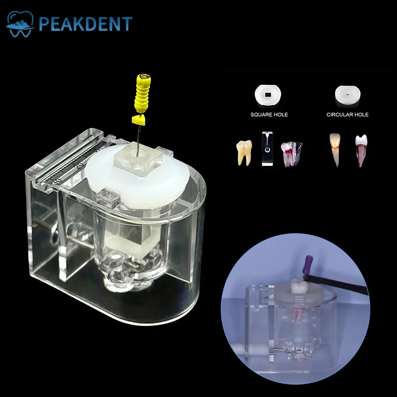 

Dental Teeth Root Canal Training Model Fit All Kinds Root Testers Simulation Oral Root Canal Treatment Practice Instrument
