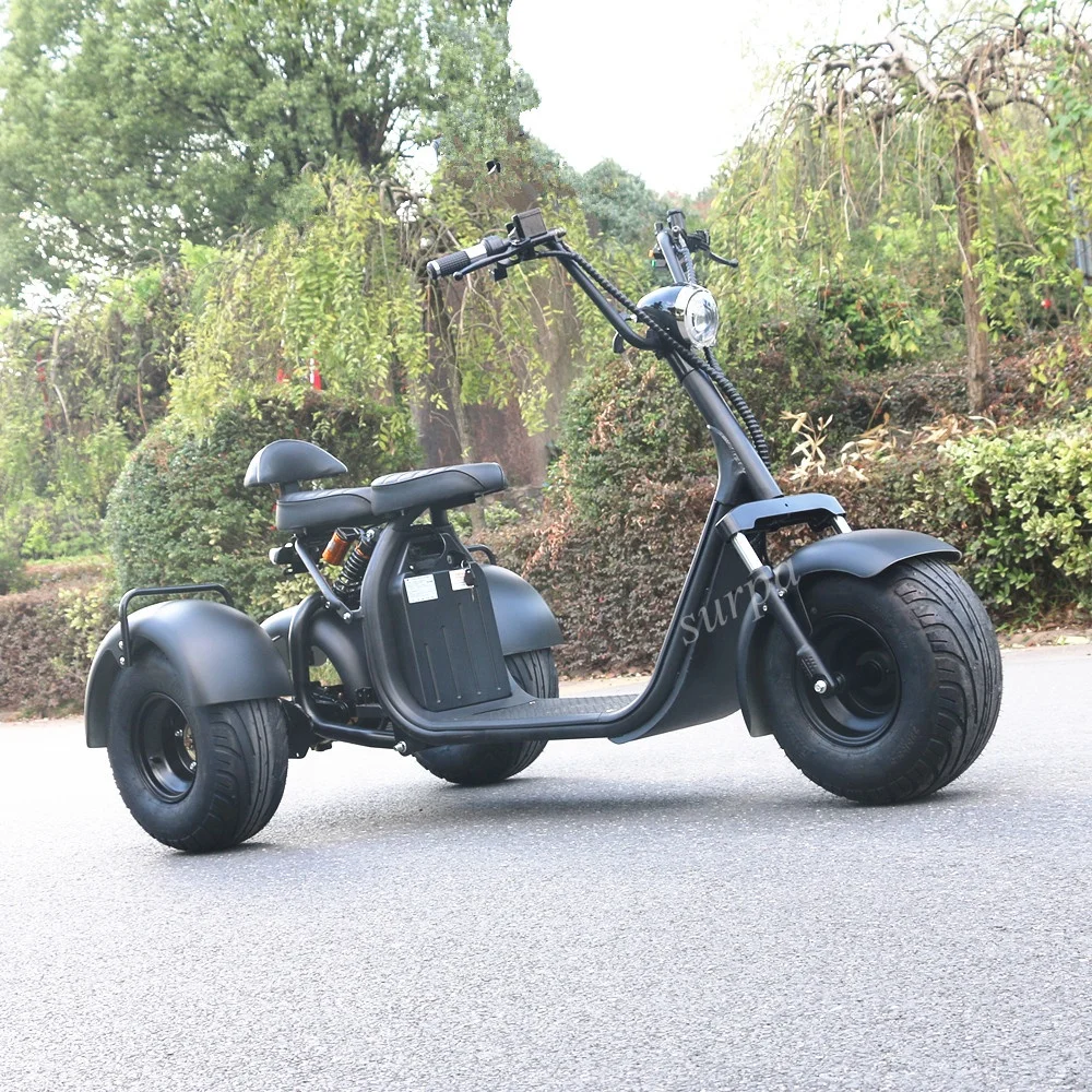 1000w 2000w 60v12ah/20ah lithium battery citycoco fat tire 3 wheel electric mobility scooters with golf bag holder