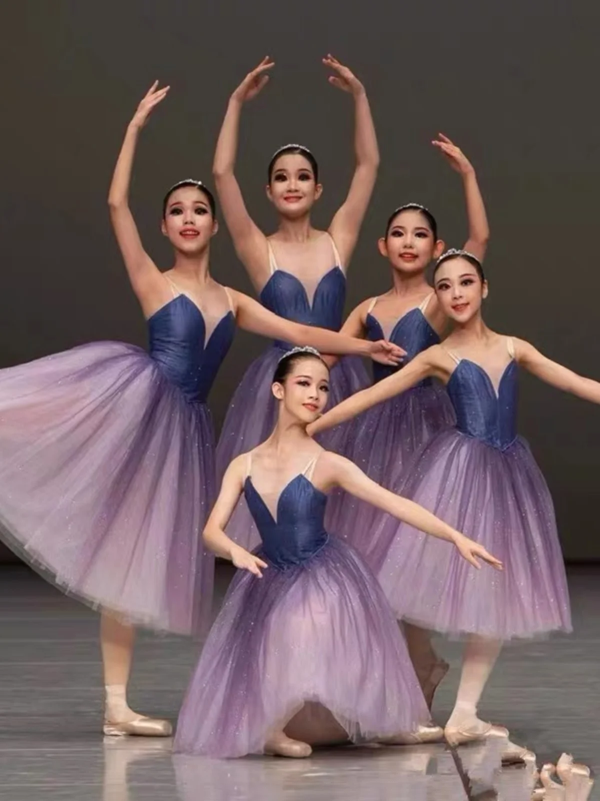 Professional Adult Ballet Tutu Dress Purple Dance Performance Long Veil Competition Costumes Women Girl Sequin Ballet Skirt