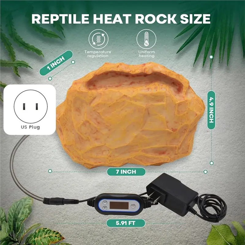 تعديل درجة الحرارة لصخور حرارة الزواحف التنين الملتحي مع حوض تغذية صخرة الحرارة بقابس الولايات المتحدة