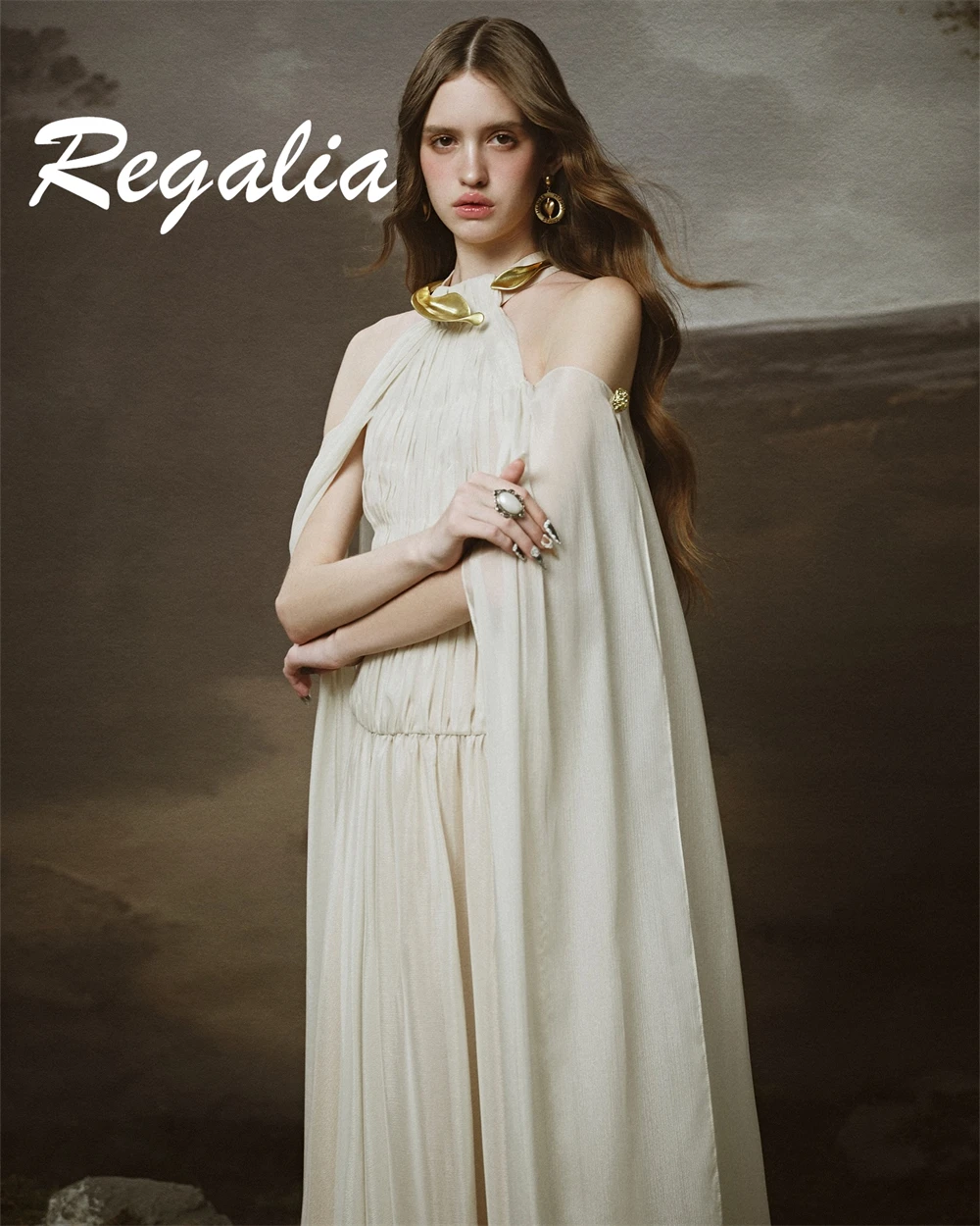 

Customized Fashion Chiffon Evening Dresses Exquisite Halter Homecoming Dresses Classic Sweep Train Special Occasion Gowns