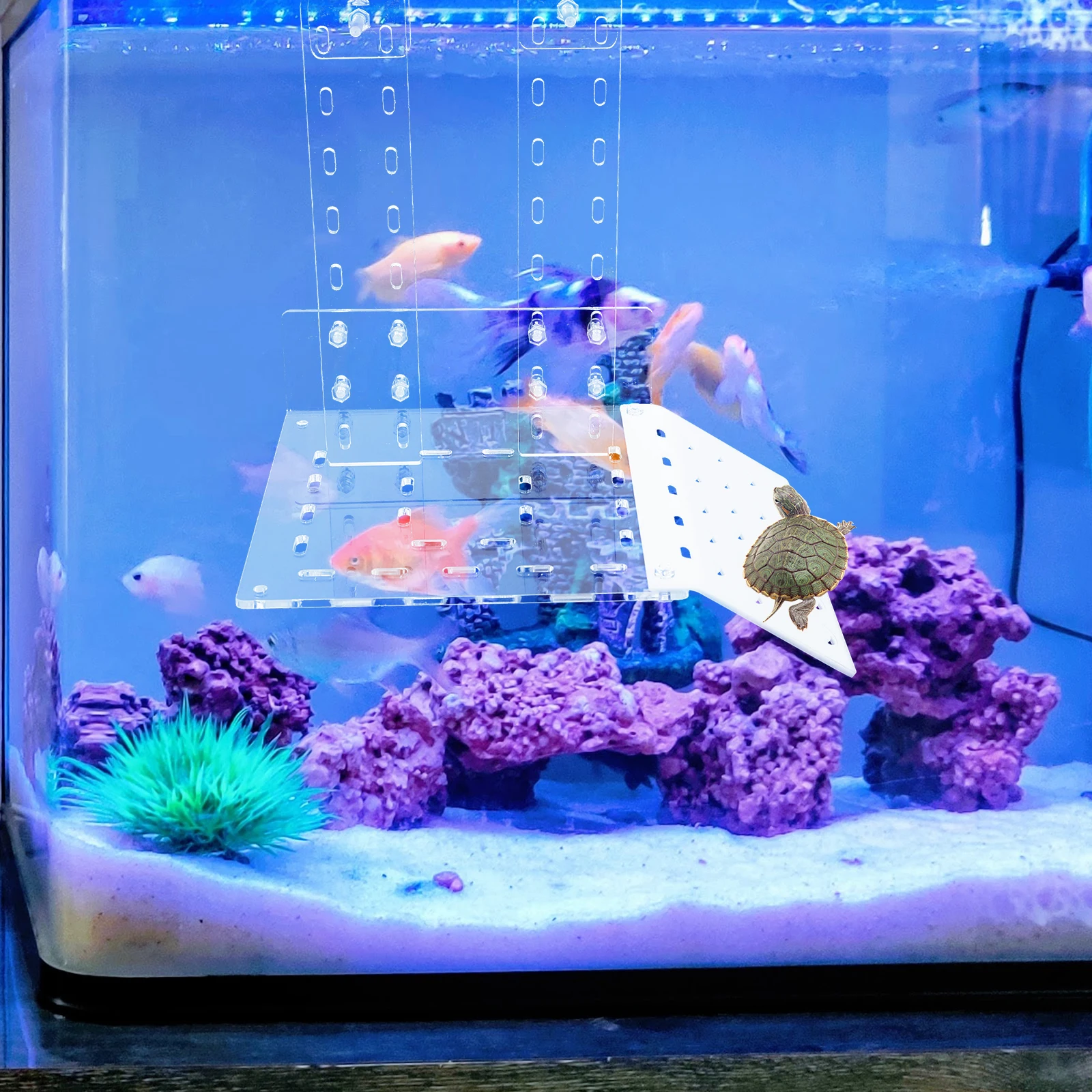 

Reptile Basking Platform Acrylic Clear Turtle Basking Terrace Hanging Aquarium Fish Tank Decoration Turtle Climbing Platform