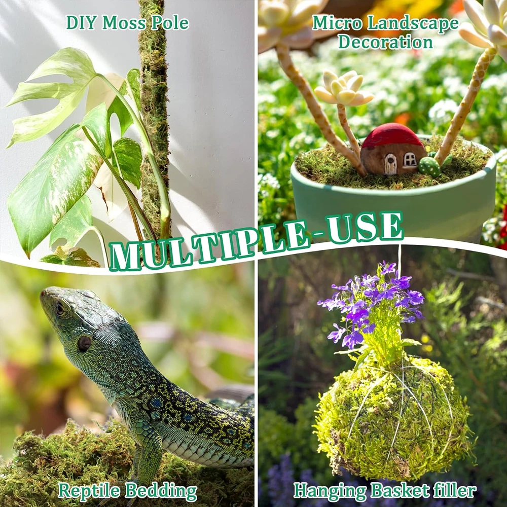 Natural Dried Moss, Artificial - Preserved Moss Sheet recension och pris