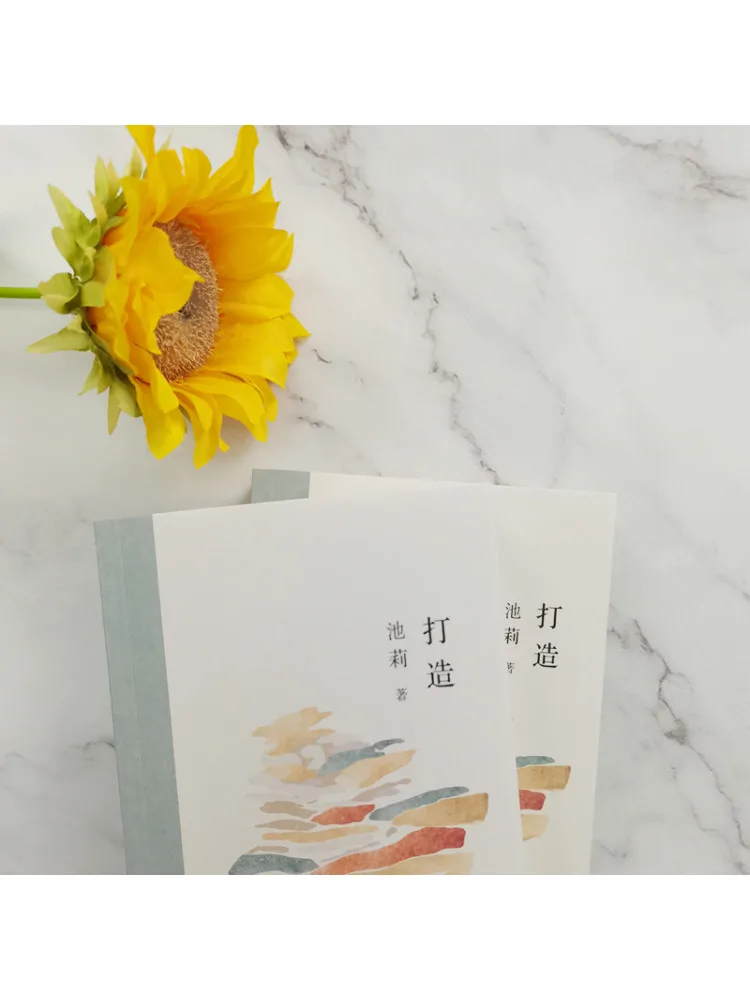 Il libro-Winshare crea