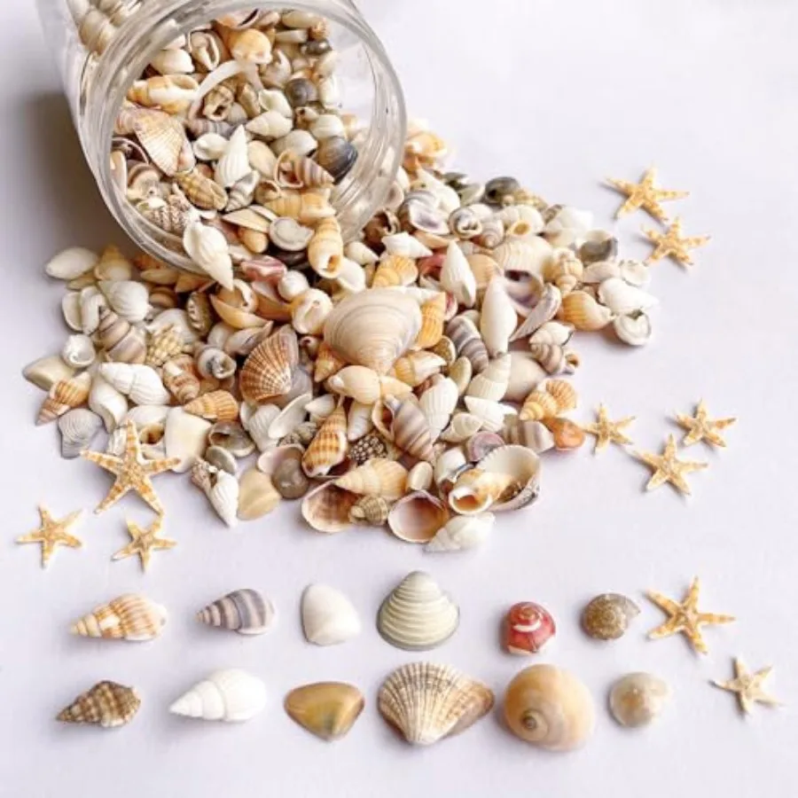 

1200 PCS Tiny Sea Shells and10 Small Starfish - Mixed Ocean Beach Spiral Seashells for Fish Tank and Vase Filler, Beach Theme P