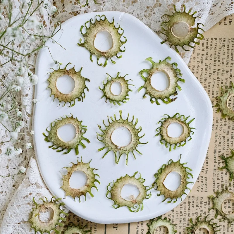 24pcs,Dried Pressed Flowers DIY Kit for Kids,Sun Pattern Resin Coaster Making,Plant Specimen Art,Photo Frame Craft Art Supplies