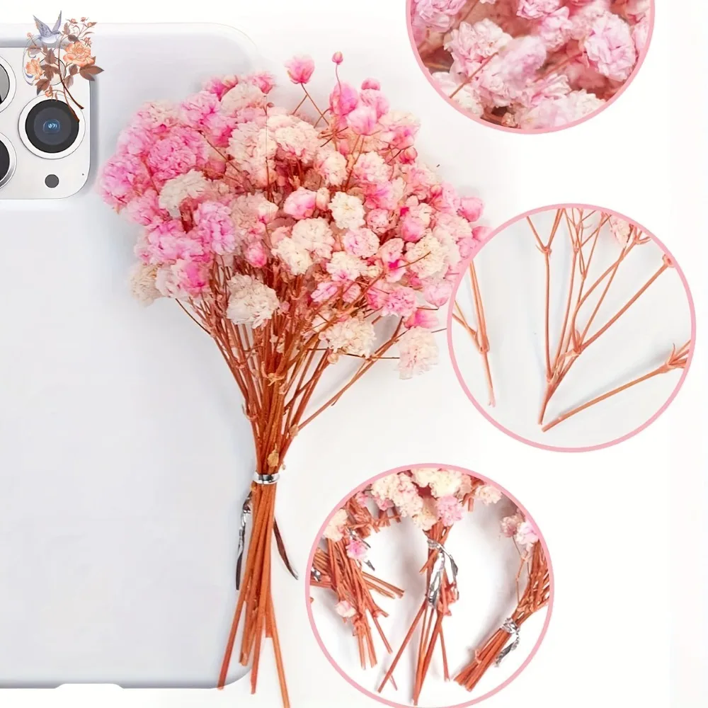 Thumbnail 2 - #19 Top Dried Flowers Picks for Every Budget