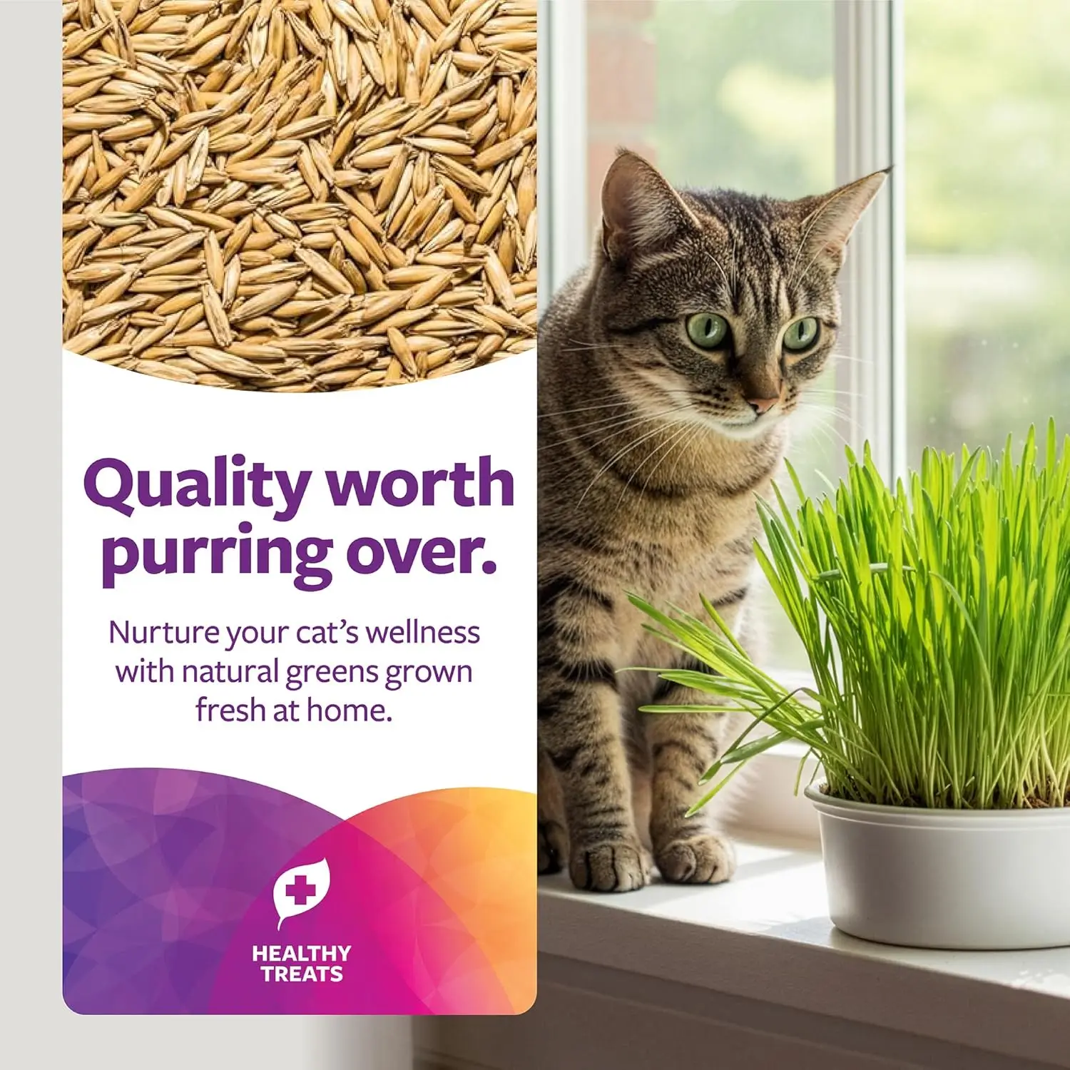 Organic Oat Grass Cat Grow Kit, Easy-to-Grow for Digestion & Hairball Support, All-in-One Solution - Detail 1