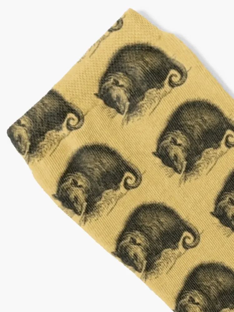 Vintage Opossum Socks soccer anti-slip custom sports Socks For Girls Men's