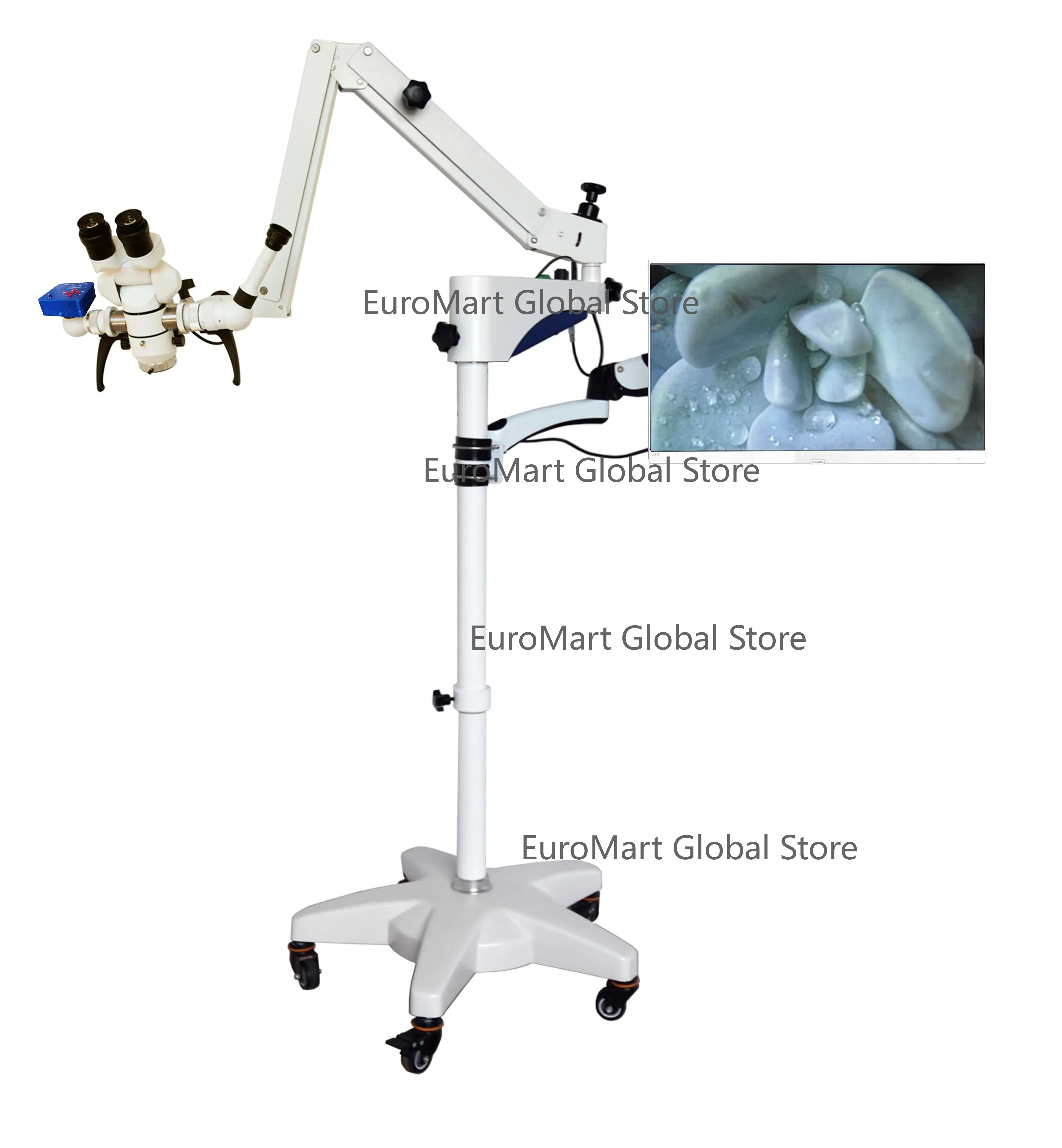 2025、Hot Sale Denti…