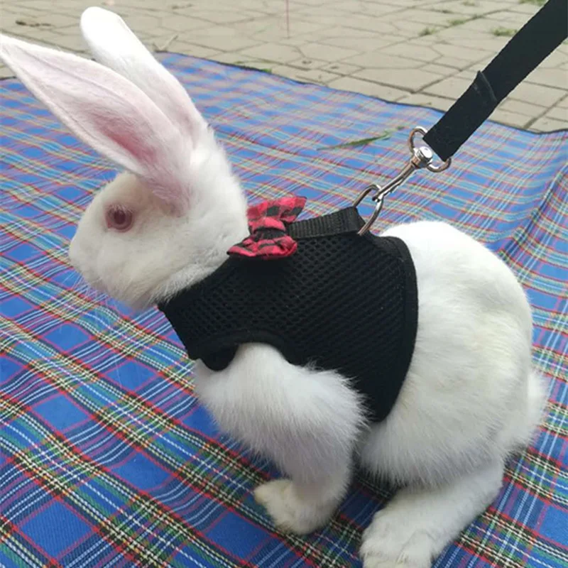 Hot Rabbits Hamster Vest Harness With Leash Bunny Mesh Chest Strap Harnesses Ferret Guinea Pig Small Animals Pet Accessories