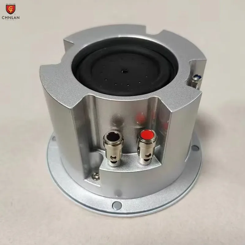 Full Range Roof Speakers in the Ceiling High Quality Waterproof 10W 30W 4 Ohms Ceiling Speaker for Bathroom Sauna