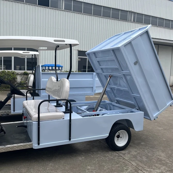 Shininglsv OEM 2 Seater Cargo Box Carts Golf Electric Box Golf Cart With Flat Bed