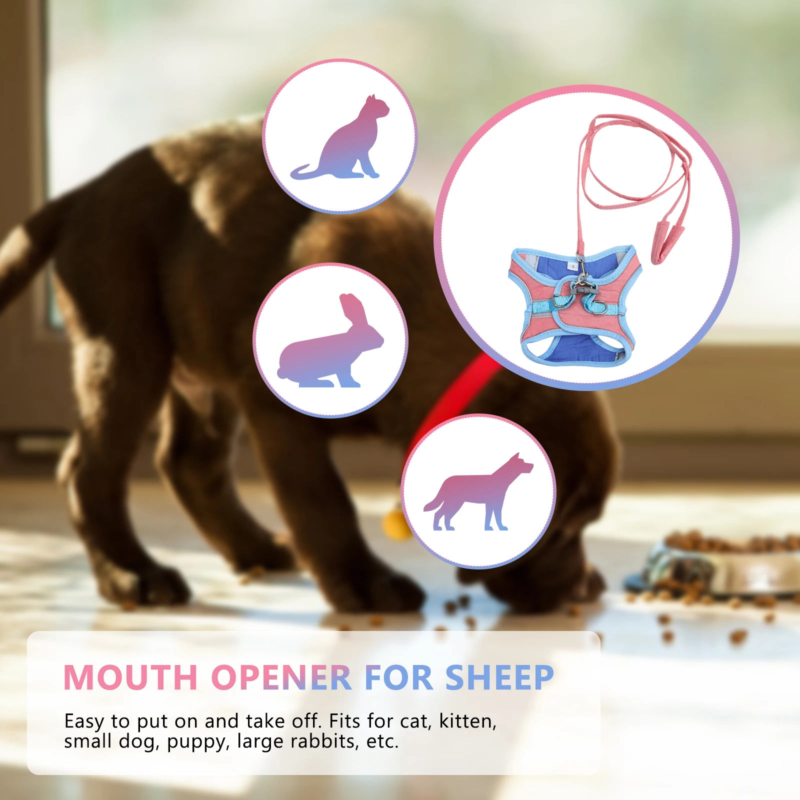

Reflective Lightweight Pet Leash Cat Dog Puppy Comfortable Fit Outdoor Indoor Walking Gift Puppy Vest Kitten Dog Harness Vest