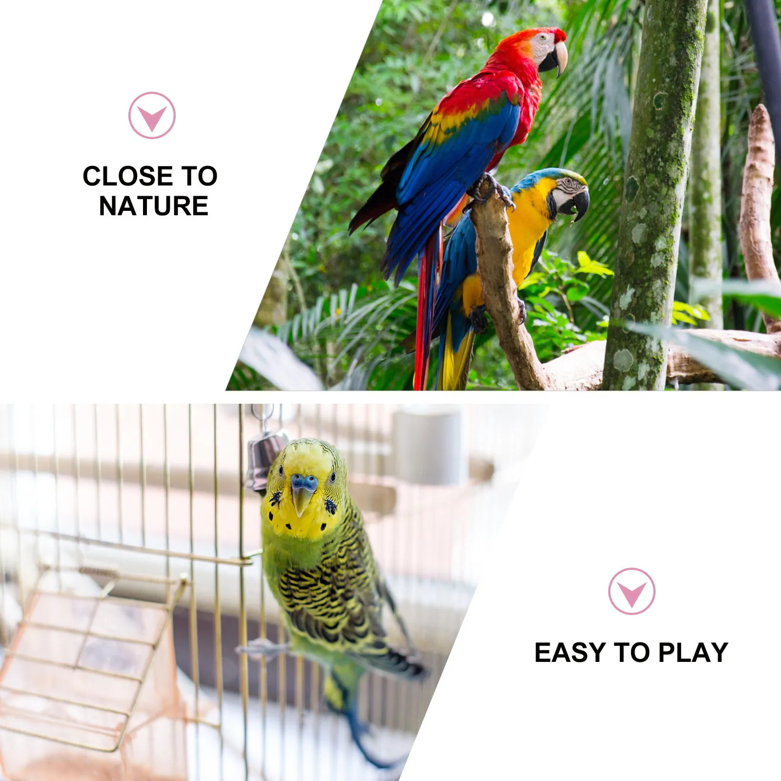 1Pcs Bird Cage Playing Colorful Parrot Biting Stand Rack Random Color Creative Parrot Hanging Plaything Funny Birds