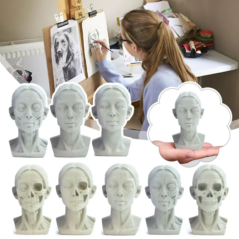 1Pc Planar Head Model Sketch Art Head Model Art Sketch Gypsum Statue Teaching Tool Sketch Muscle Resin Still Life Ornament Model