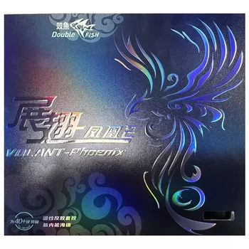 ปลาคู่นกฟีนิกซ์2