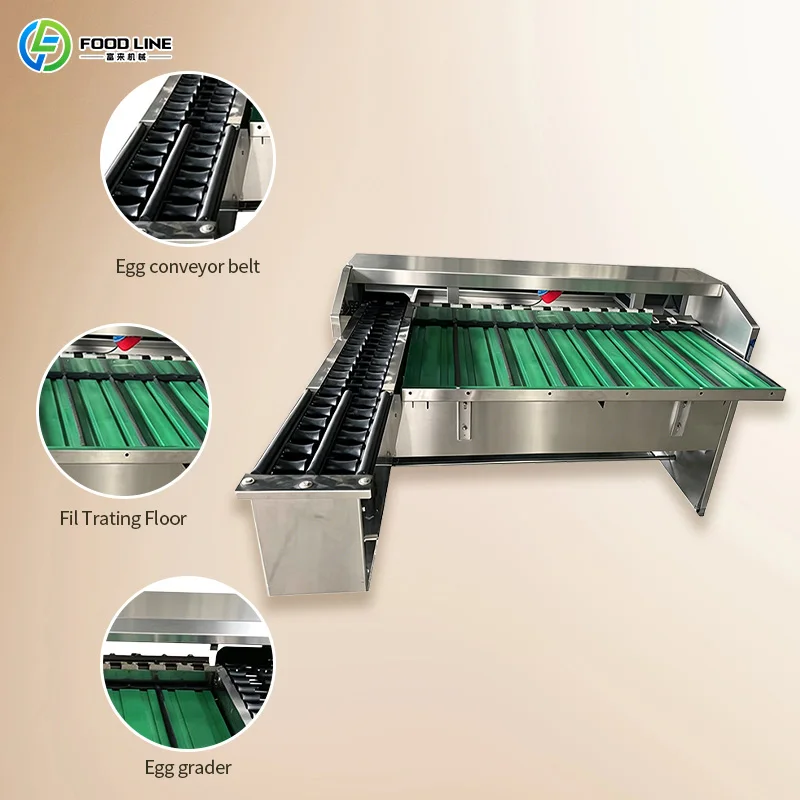 Customized Fully Automatic Commercial Complete Egg Processing Production Line Integrated Egg Washing Sorting Grading Packing