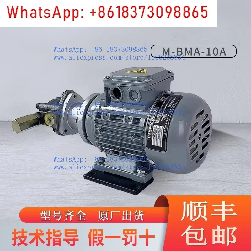 Motor Motor Pump Lubricating Oil Pump Triangle Oil Pump M-BMA-11A/10A/12A/13A/1FS