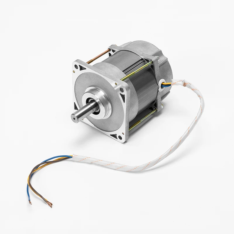 OEM 90W Brushless DC Motor Single Phase Machine Competitive Price Wholesale Factory Custom Permanent Magnet Custom Ear