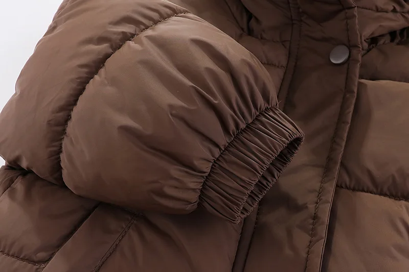 1-8 Jahre Kinder Daunenjacke Herbst Winter Baby Jungen Mädchen Einfarbig Bärenohren Lammwollfutter Dicke Kapuzenjacke – Detail 15