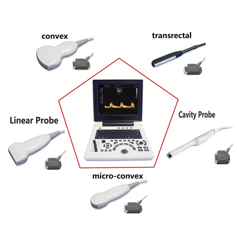 Veterinary Ultrasound Handheld Scanner Convex, Convex Probes, Microconvex Probe, Rectal Probe, Linear Probe, Luminal Probe