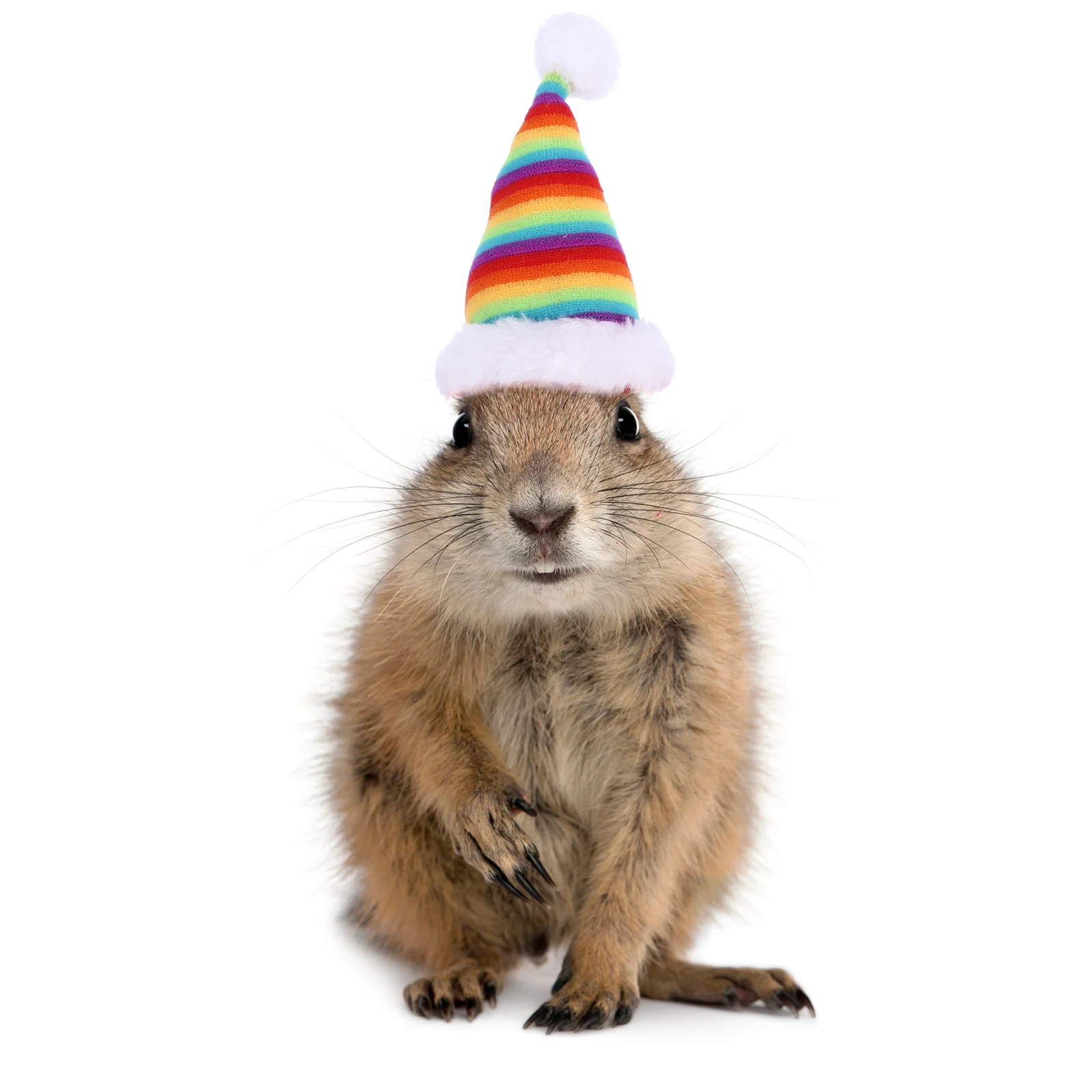 

2Pcs Pet Xmas Hat Santa Red Christmas Headwear Adjustable Strap for Guinea Pig Rabbit Hamster Pet Christmas Party Decoration