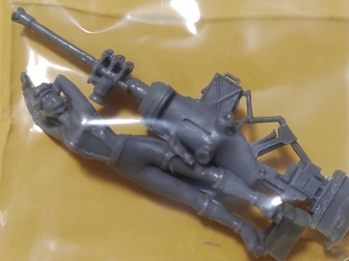 Buyer photo of this resin kit