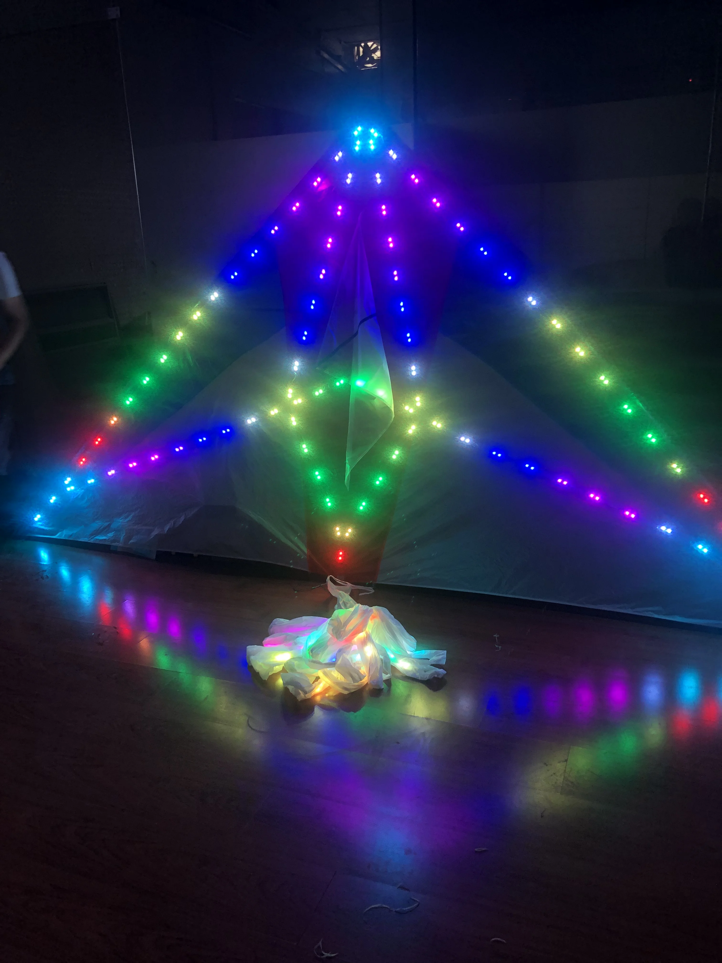 

Big LED delta night kite 3 SQM diamond 544 Ripstop fabric triangle kite with lights and 20M tubing tails flying at night