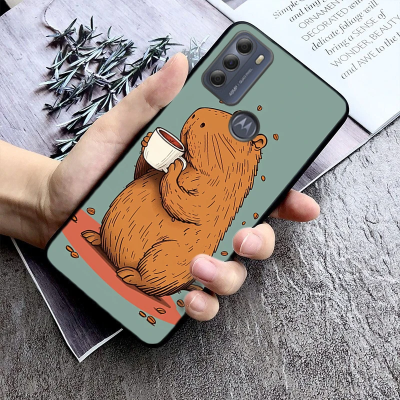 Cartoon Cute Capyba…