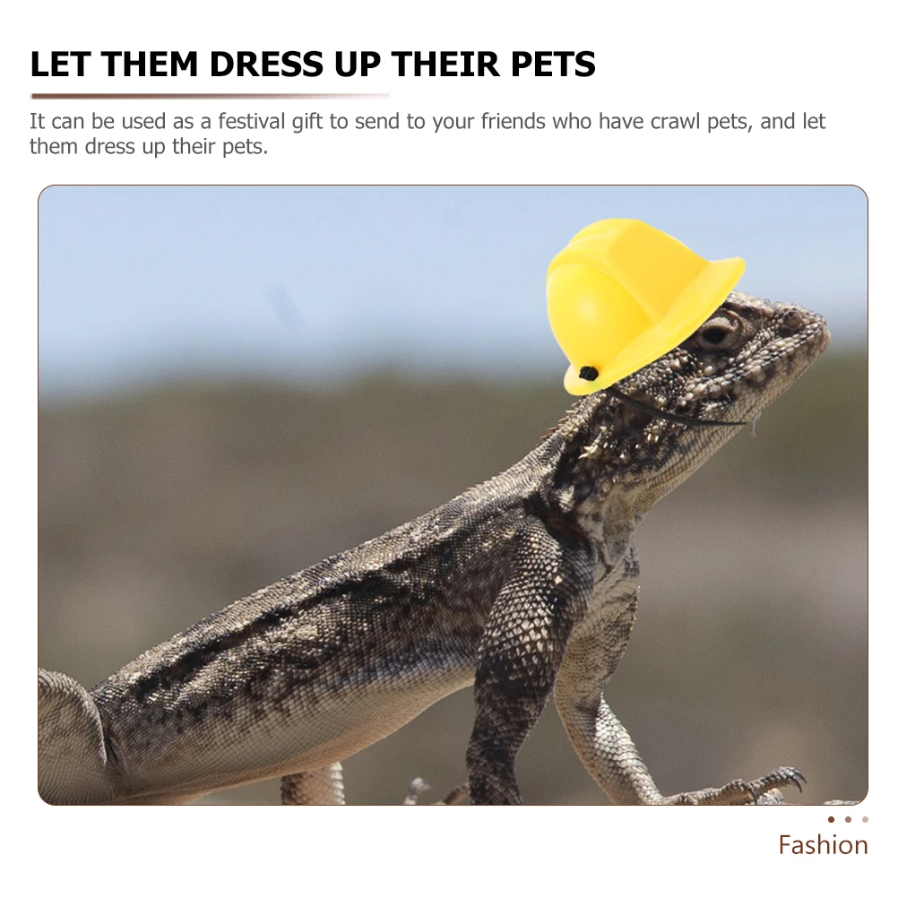 

Chameleon Hat Lizard Construction for Bearded Dragon Hats Lizards Small
