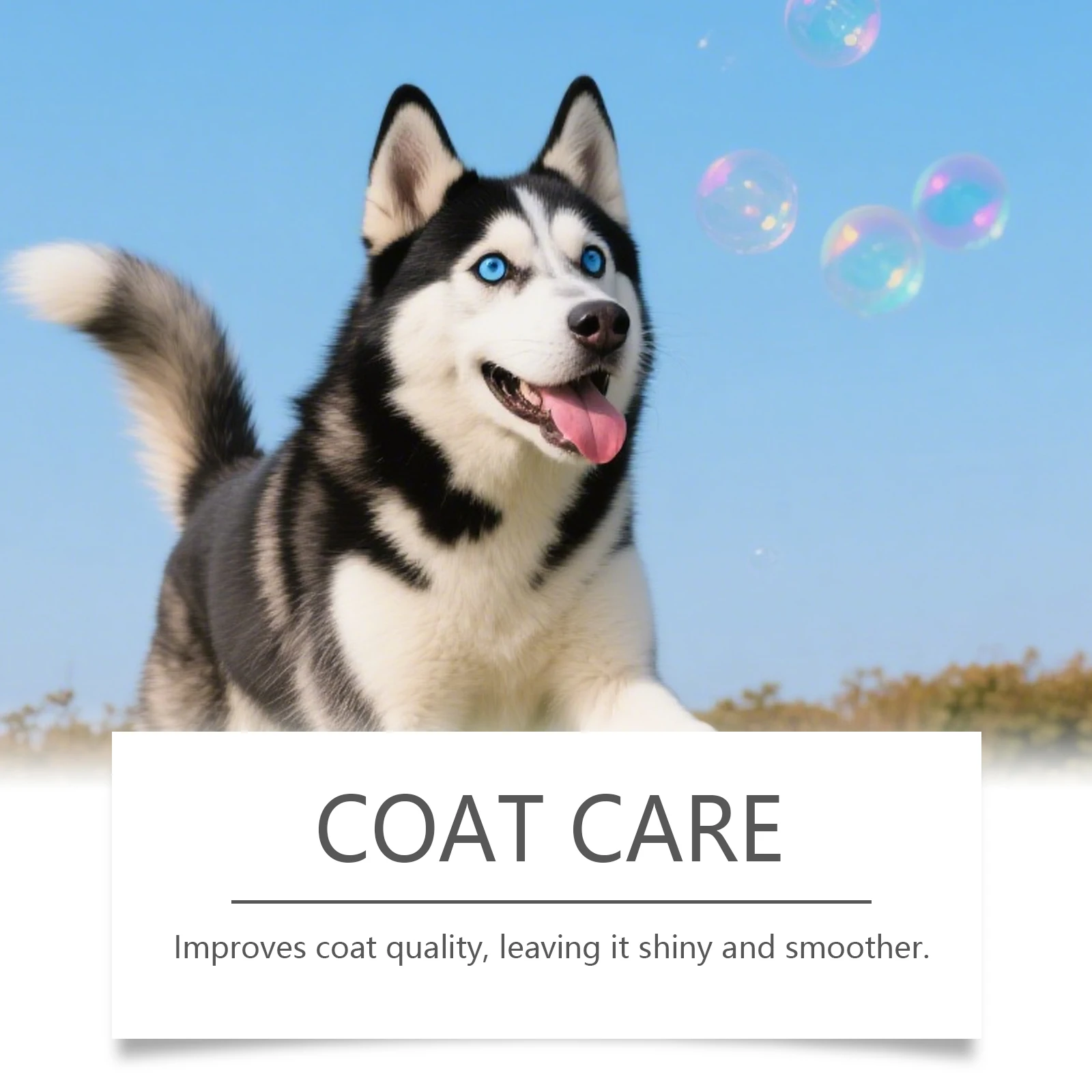 Gocce di Collagene per Cani -  - Hair Care Collagen recensione e prezzo