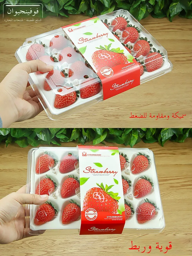 

Disposable Stberry Paaging Box Transparent Cover Fruit Paing Box Donggang Stberry Box 20 Pieces Long Rectangle PET ...