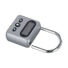 timer padlock