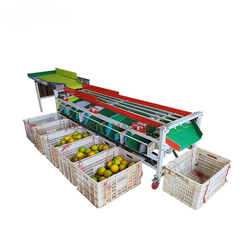 

tomato fruit sorting machine potato vegetable grading machine strawberry grading processing machinery