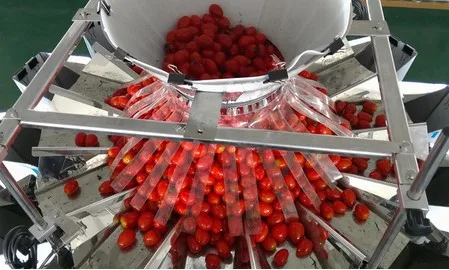 เครื่องชั่งน้ำหนักอัตโนมัติ 10/14 หัว สำหรับมะเขือเทศเชอร์รี่ในถาดพลาสติกแบบฝาพับ เครื่องชั่งแบบหลายหัวสำหรับเครื่องบรรจุภัณฑ์