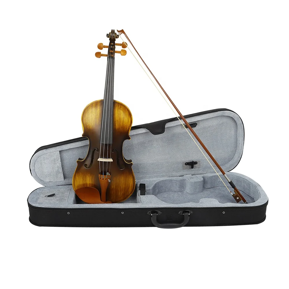 Wholesale Price Professional 4/4 Jujube Wood Accessories Astonvilla AV-E310 Matte Electric Acoustic EQ Violin With Case
