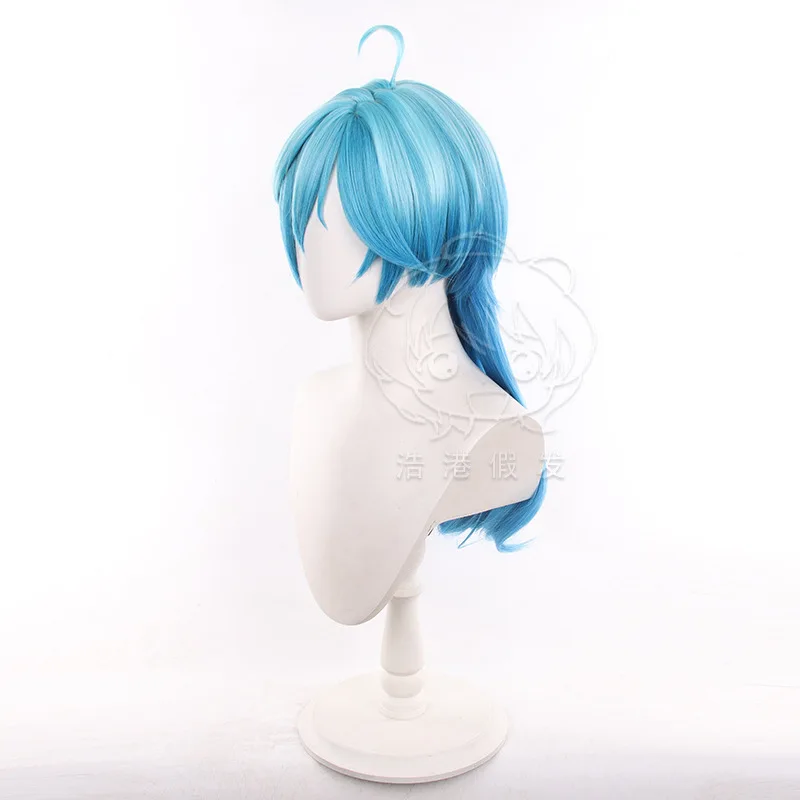 Tina Minejimi perruques fête ANIME Rock est une dame modestie Cosplay perruque 60 cm de Long résistant à la chaleur synthétique cheveux perruques + bonnet de perruque
