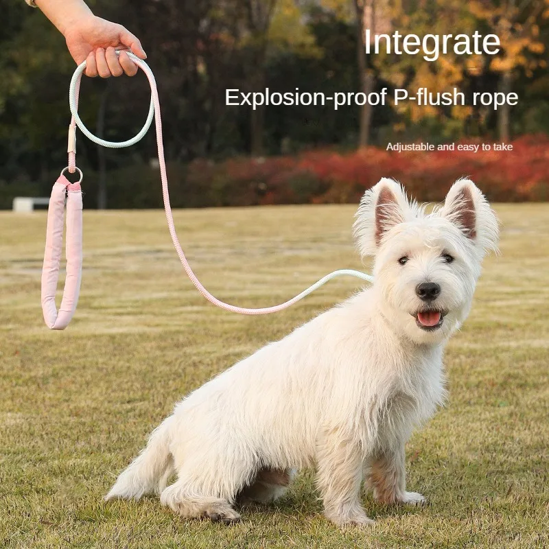 

Anti-Explosion Dog Rope Punch P Chain, Walking Dog leash, Anti-Break Free, Medium and Large