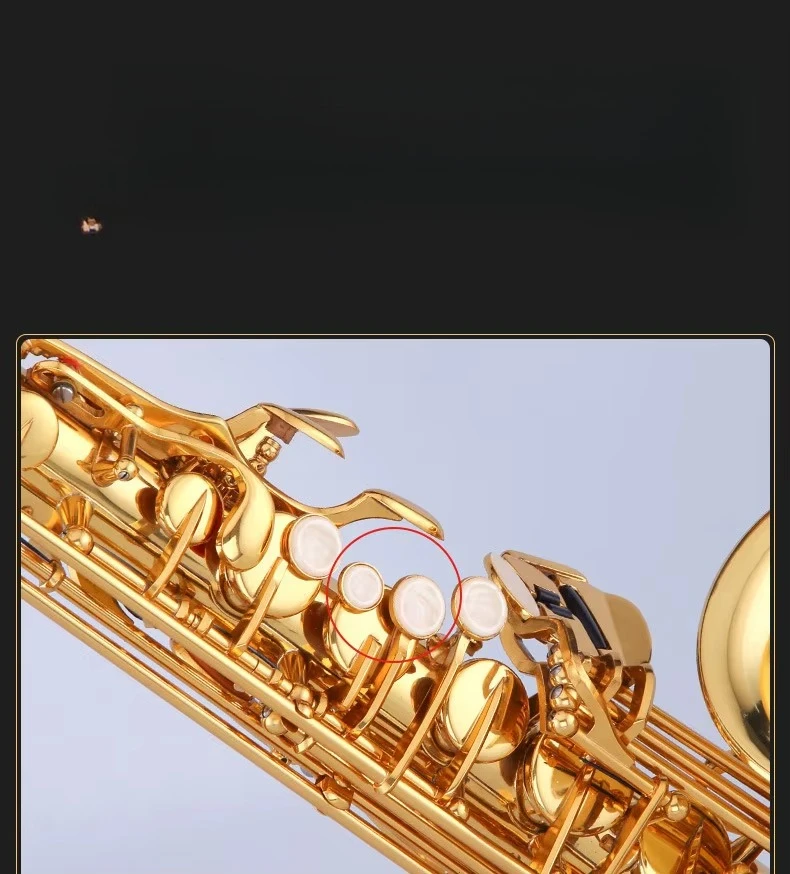 Starway OEM ODM Professional Performance Level Lacquer Gold Hand-Carved E-Flat Alto Saxophone With Accessories Wind Instruments