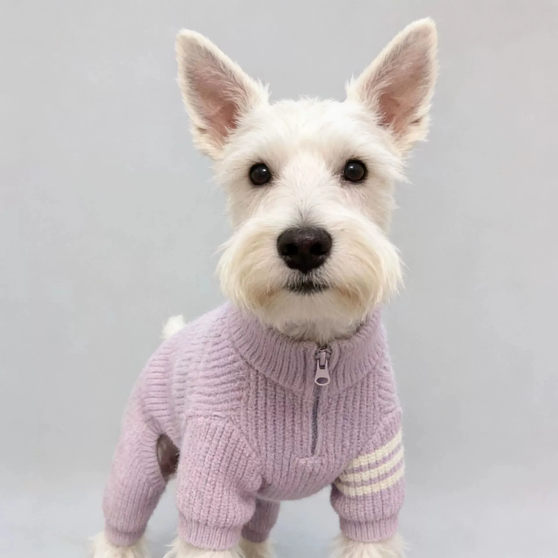 Gentleman-Style Dog Four-Legged Sweater | Fall Winter Knitted Polo with Zipper | Warm Pet Full-Body Jumper 5
