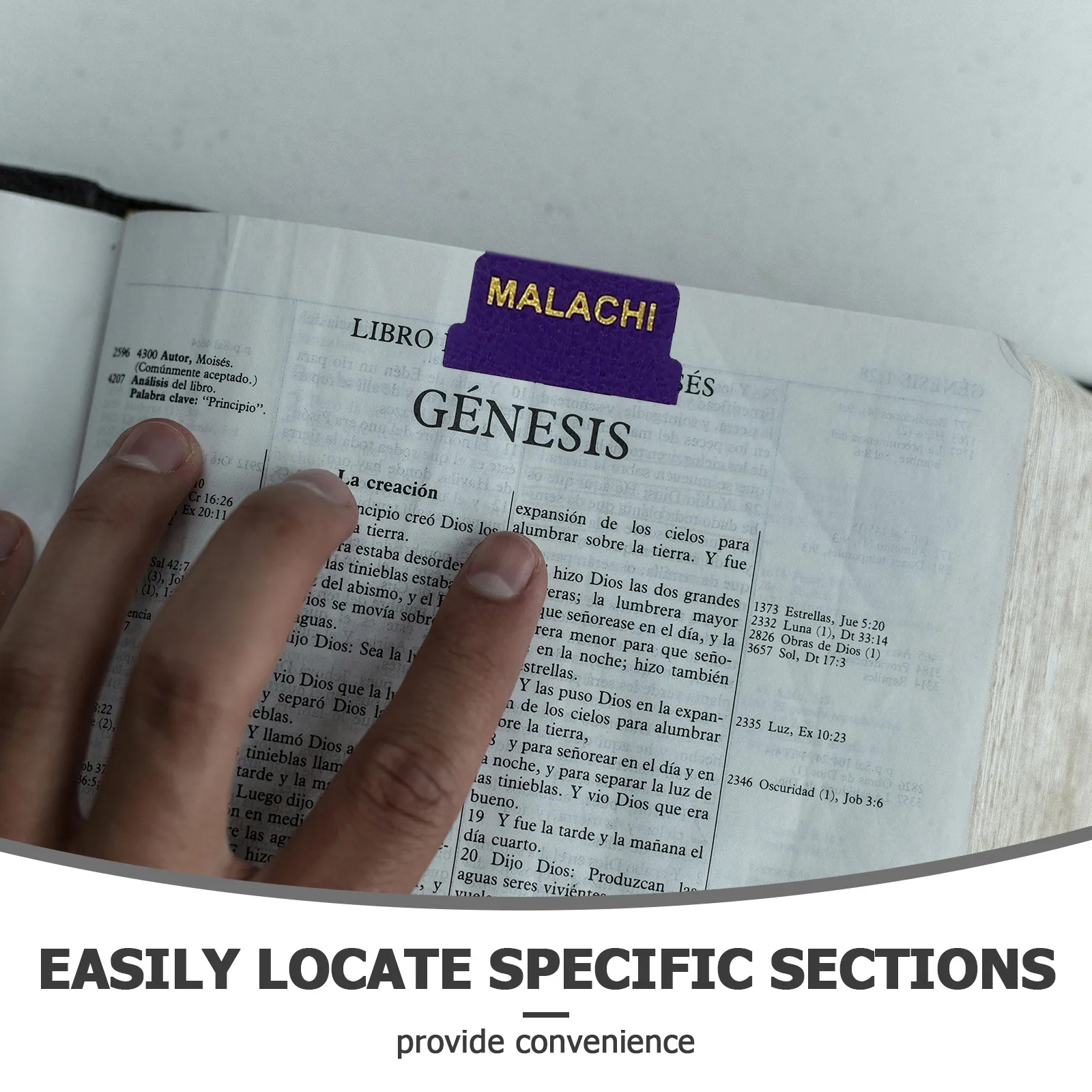 

1 Set Bible Study Tabs Decorative Small Bible Index Labels Stickers Clear Font Easy Reference Colorful Book Accessories