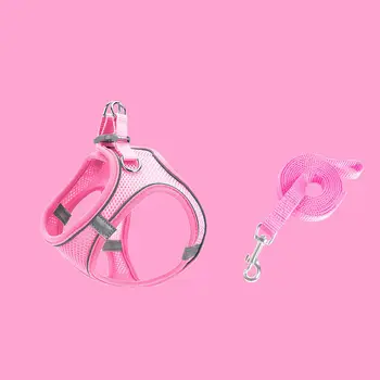 8 best sales Gürtel für Katze - №1